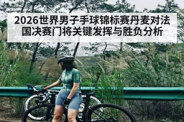 2026世界男子手球锦标赛丹麦对法国决赛门将关键发挥与胜负分析