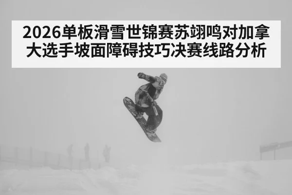2026单板滑雪世锦赛苏翊鸣对加拿大选手坡面障碍技巧决赛线路分析 - kaiyun